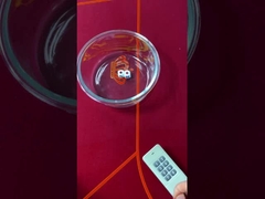 Mã ẩn thủy ngân Loaded Dice Trò chơi sòng bạc Loaded 6 mặt Dice