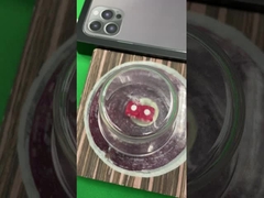 Thiết bị gian lận xúc xắc tùy chỉnh Hệ thống súc sắc từ tính điện tử