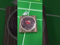 Thiết bị lừa đảo xúc xắc cảm ứng biến tính từ tính / không từ tính