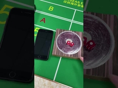 Nhựa 12mm / 16mm Dice Set Gamble Casino Game Dice Với Animal Print